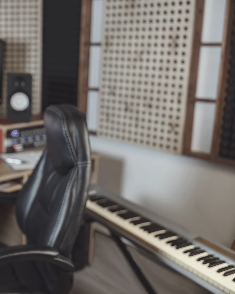 The mic: microphone, headphones and treated walls